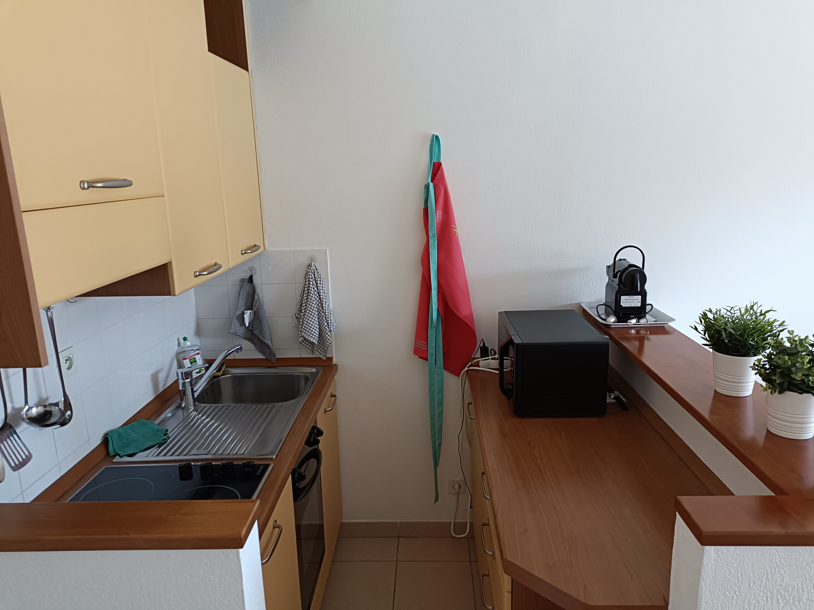 Image_, Studio, Antibes, ref :1