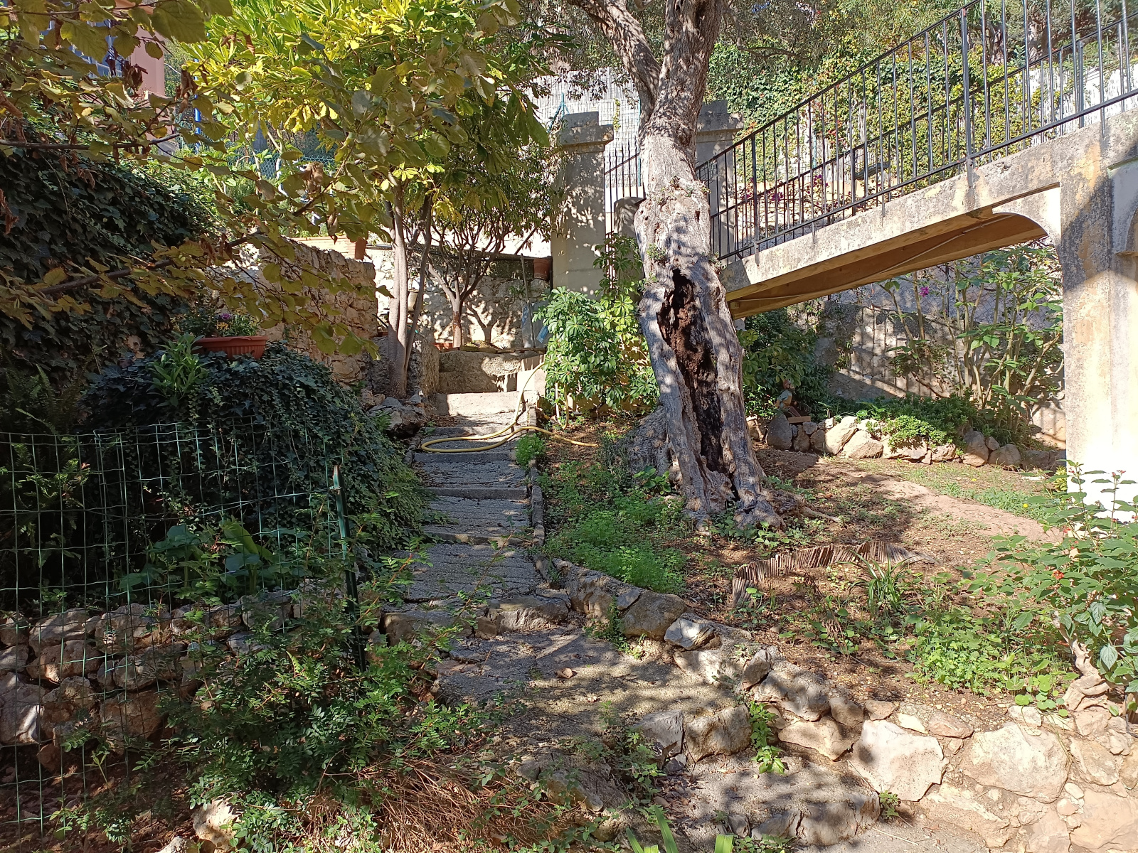 Image_, Studio, Beausoleil, ref :1